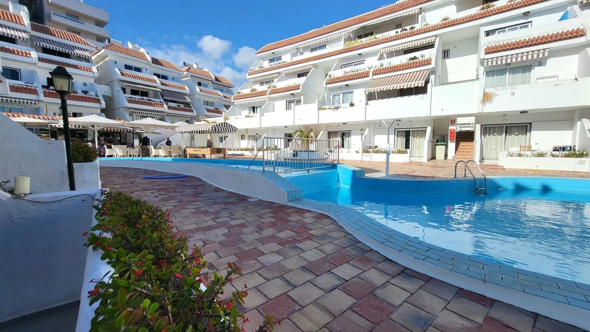Flower Apartment Playa de las Americas  Spain